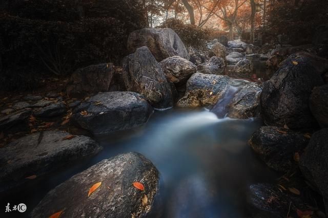 致女诗人幽林石子生日怀想(藏头诗)