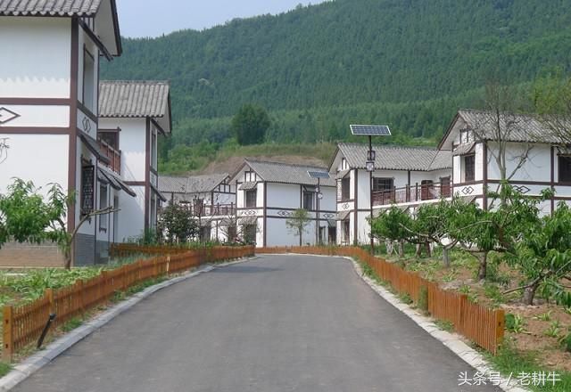 2018年新农合医疗报销政策进一步完善,这几种