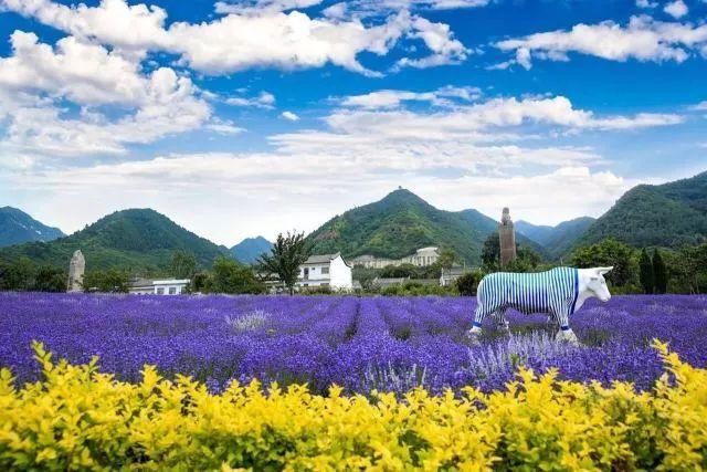 宝鸡荣登2018中国城市品牌评价百强榜!快来给