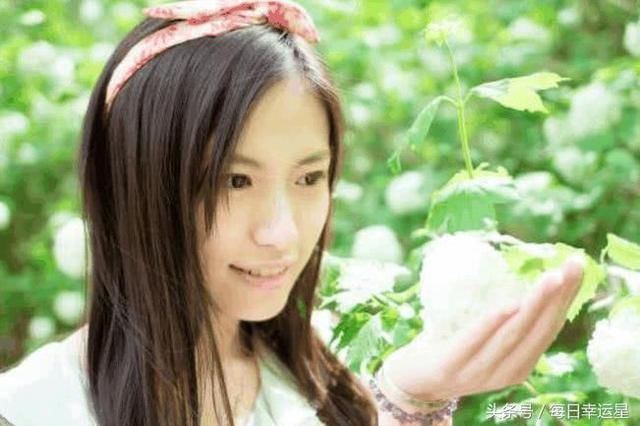 十二生肖中,哪个属相智商非常高情商非常低?