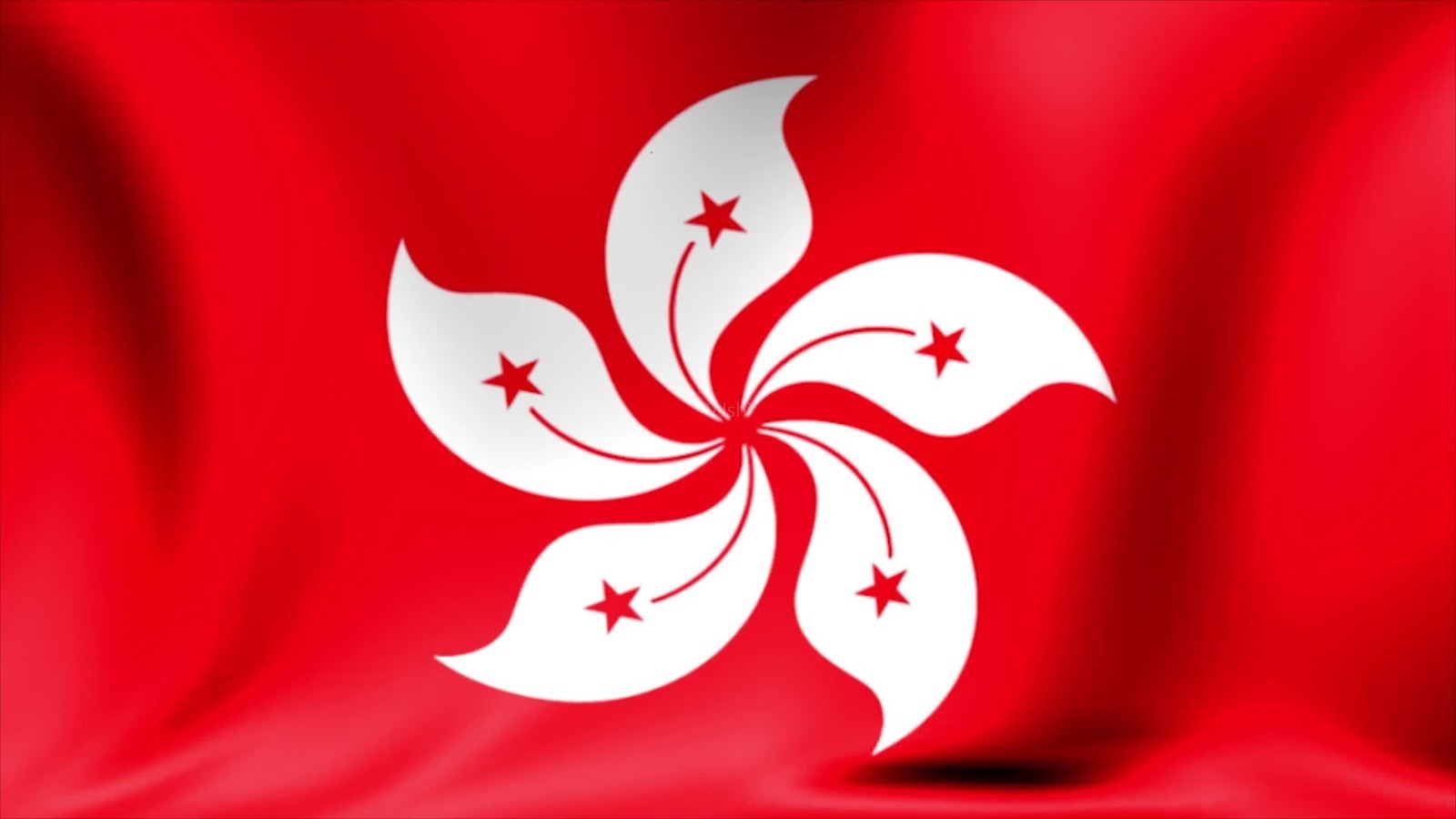 外交部:将视美方措施作出坚决有力回应