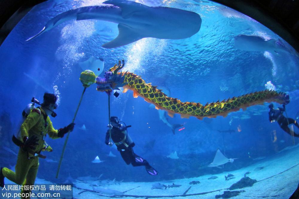 2017年5月27日，山东烟台一海洋公园的潜水员们正在精心排练他们自编自演的“水下舞龙”节目，用妙趣横生的表演和全新的视觉体验迎接即将到来的端午节假期。