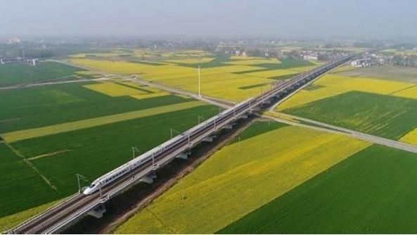 如果青岛被划为直辖市