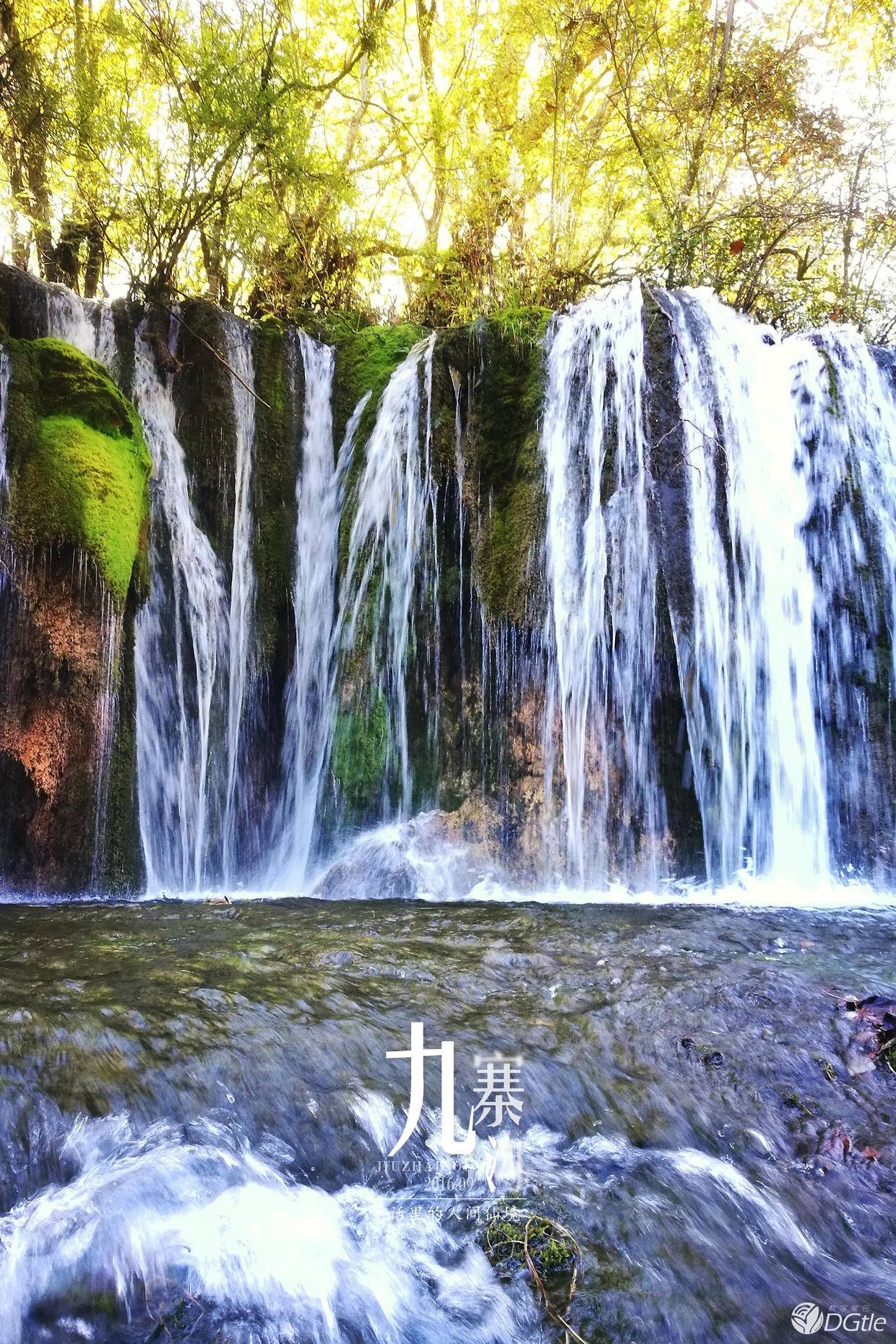 重回那个童话般的人间仙境丨数字尾巴