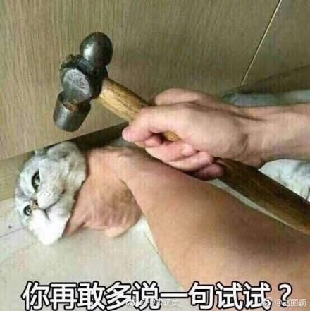 赵丽颖回击拿锤子锤猫的表情称"你再敢多说一句试试,你对你对.