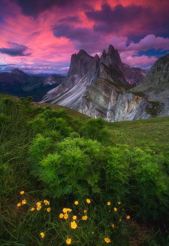 一句话早安心情说说,句句精辟,拿去发朋友圈吧