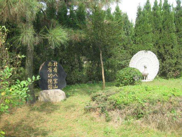 实拍叶挺和项英墓对比, 差别明显, 一位领导人题