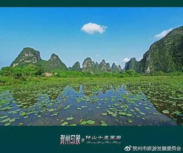 三月三贺州开往这些方向的火车票已经没了!