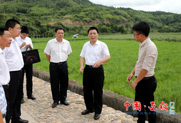 连城县委书记钟勇强到莒溪镇调研