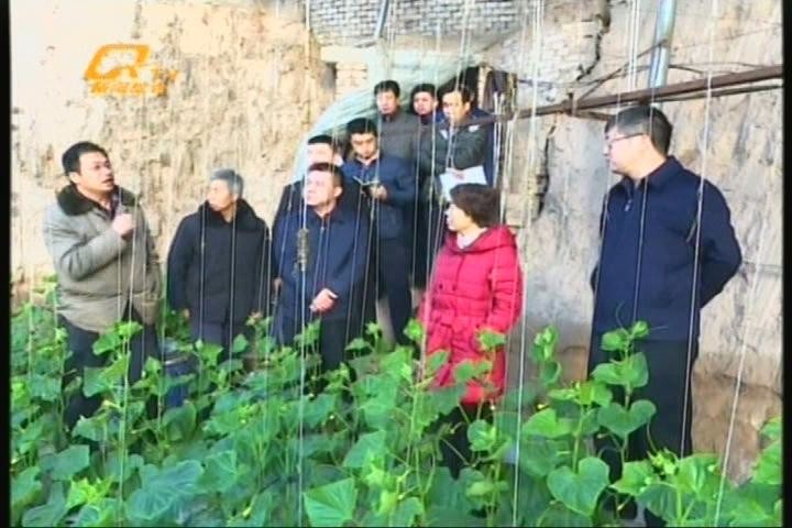 祁县开展乡村振兴专题研究大力培育新型农业经