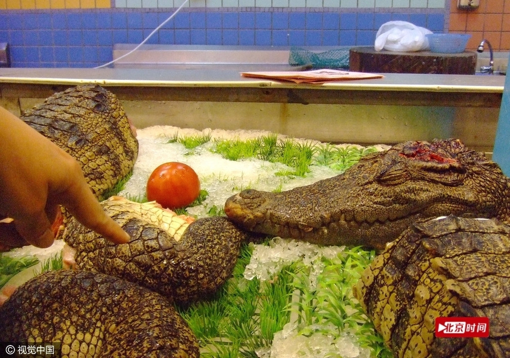 20元的鳄鱼肉串火了 鳄鱼肉真的能吃吗