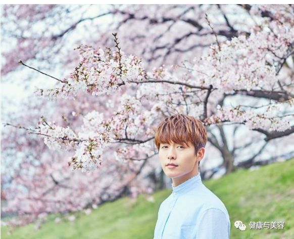 杨幂陈伟霆去日本赏樱花,踏青照原来要这么拍