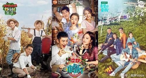 盘点2017热门综艺:从电视到网络洞悉2017综艺