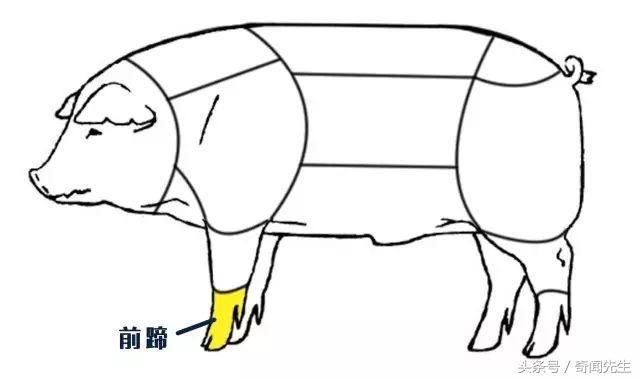 猪肉哪个部位最好吃?我喜欢吃前腿肉,你呢?