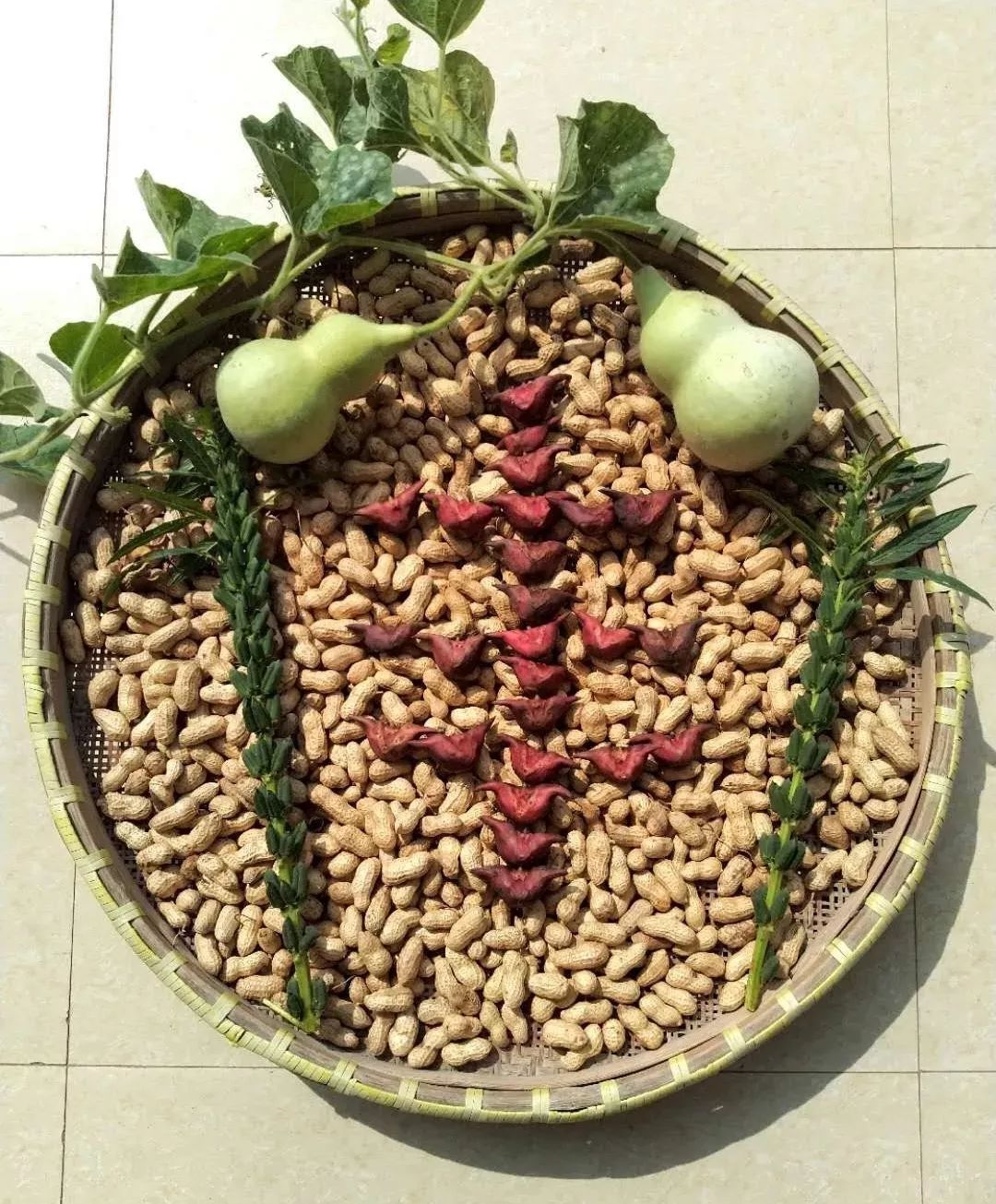 农民想过个什么样的丰收节?7个字就能概括.