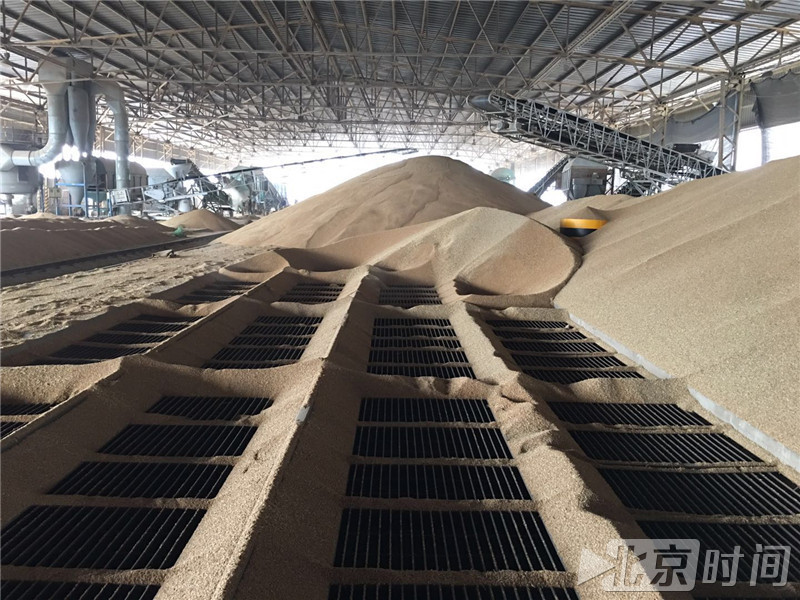 中粮集团国企开放日:现代粮食仓储体验之旅