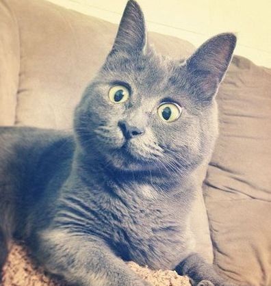 时隔二十年,他又回来了!万达集团将重新入主大