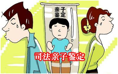 亲子鉴定:双亲鉴定准确性远远高于单亲鉴定