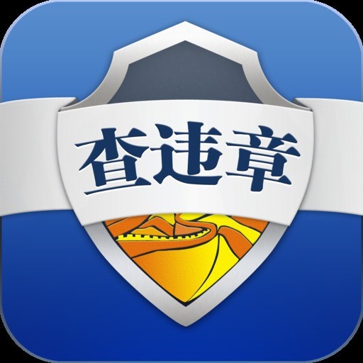 山西大同违章车辆查询图片