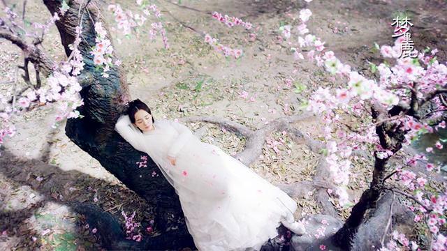 古装剧最美的白衣女子 郑爽清新杨幂娇媚