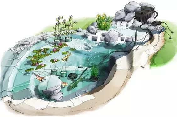 家庭园艺|庭院花园里的自然水池,这样来做 水景