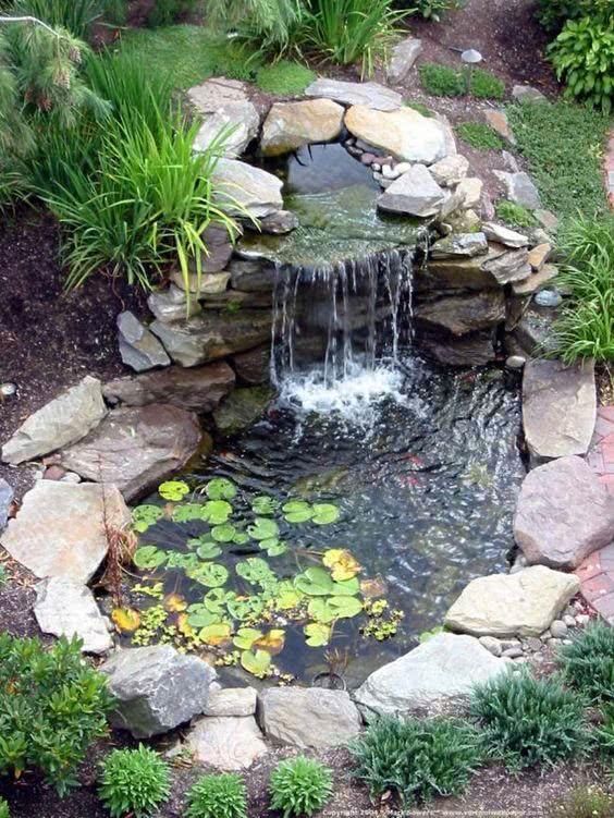 水为财,在庭院里建个小水池,养鱼种花