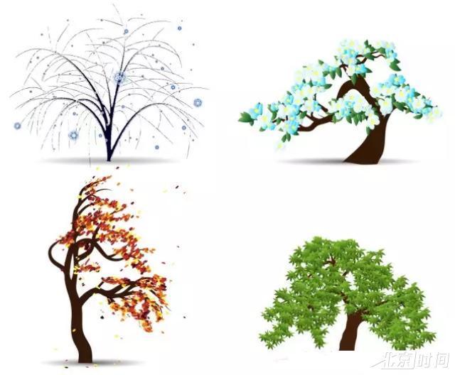 汽车轮胎胎压调整因素大揭秘,冬季、夏季!