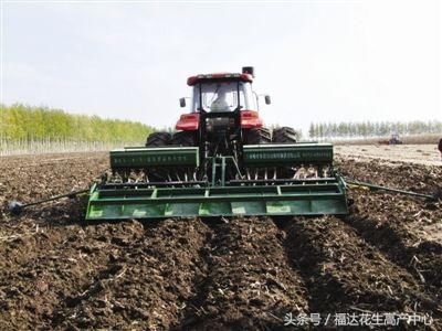 花生高油酸品种豫花37,品种特性,产量表现以及