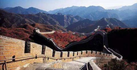 世界各国平均智商排行,你拖后腿了么?