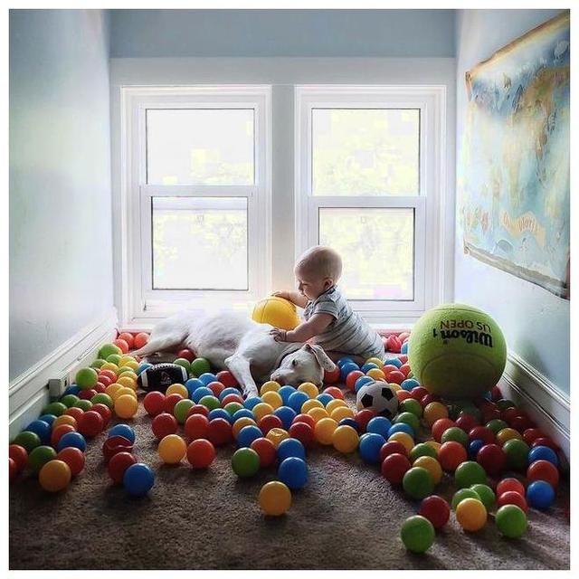 狗狗和1岁左右的宝宝怎么合照?这10种姿势让