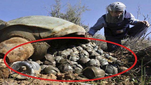 一百多国要求中美俄签署此公约 中国霸气说NO