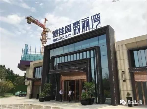 碧桂园聊城项目违规销售被通报 认筹金照收不