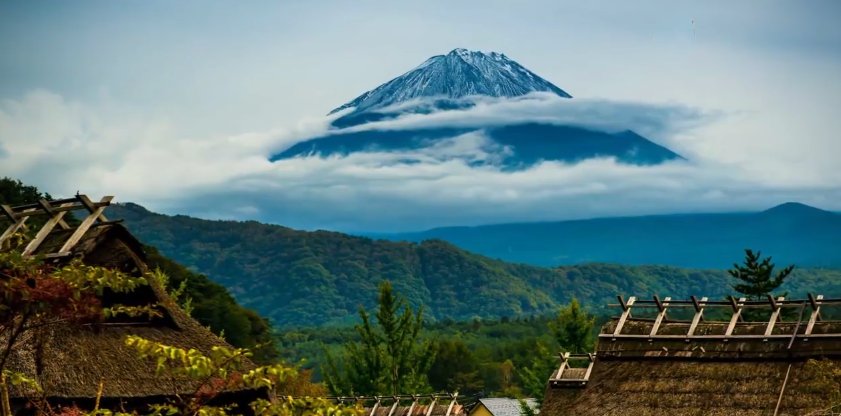 在日本有许多自杀圣地,例如富士山下的青木原树海