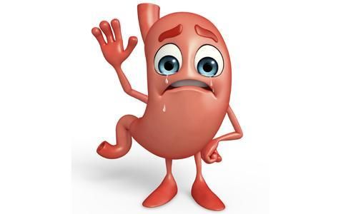 民间治疗胃病偏方:猪肚可治胃病 ,可靠吗?