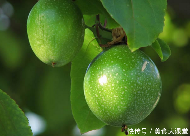 世界10大珍稀水果,价值极高,最后2个只有中国