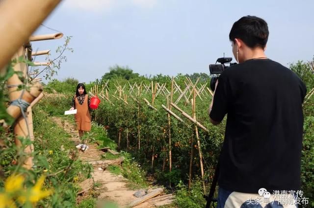 广西电视台新闻频道将现场直播港南区三月三