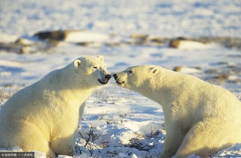 欧洲申根五年签证,澳大利亚三年签证