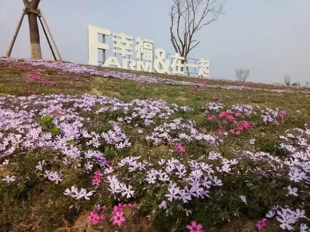 春满中国醉西安丨今天带你一起去源田梦工场田