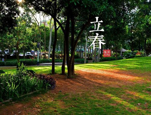 2019立春是几月几日几点钟 2019年真的没有立