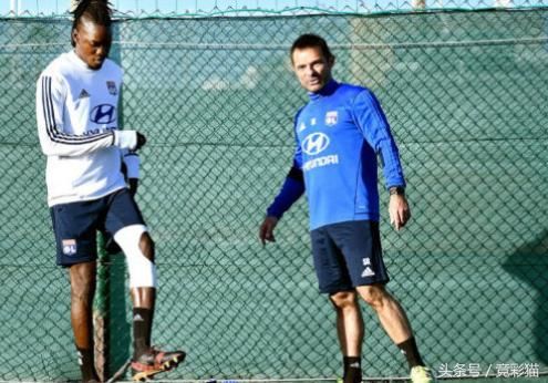 竞彩猫彭雷:法甲送一单 甘冈VS里昂(单关)图卢