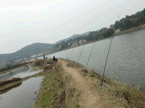 回家過年第一天就看到農村大爺釣魚擺的陣勢,頂禮膜拜