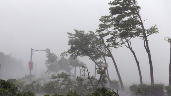 明天迎全市性降雨！这波降雨跟台风有关系吗？