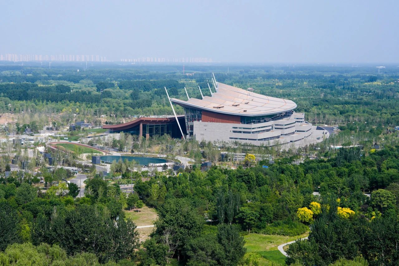 高考生们又有新福利了!看“殷商”大展,免费! 高考生们又有新福利了!看“殷商”大展,免费!