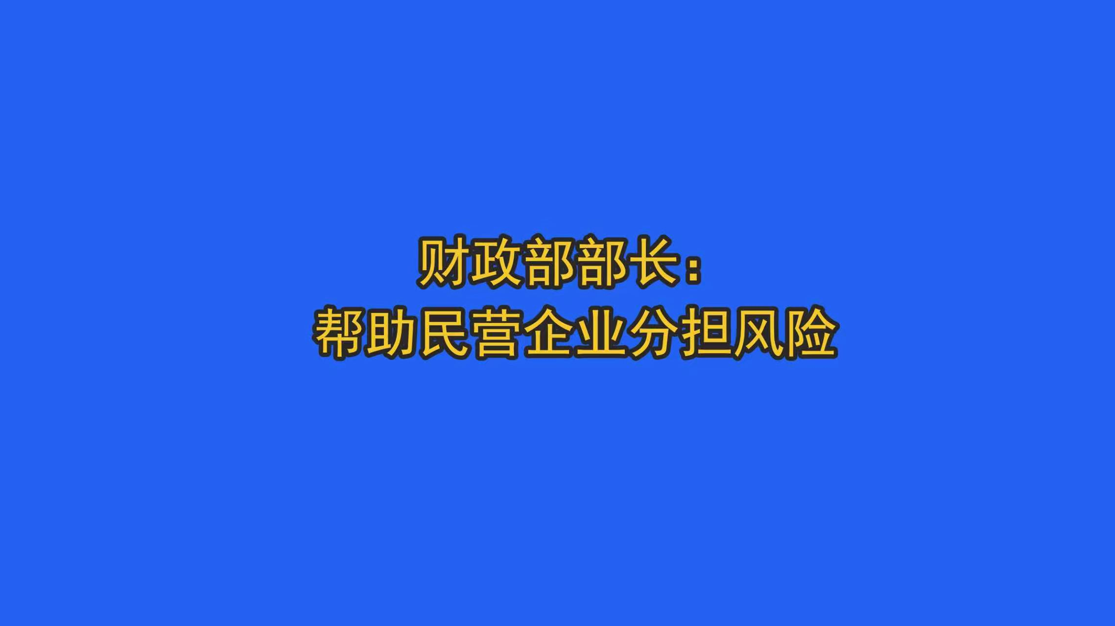 蓝佛安：帮助民营企业分担风险