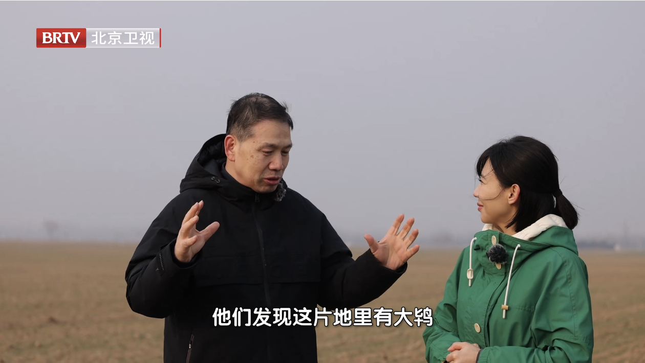 十年前是如何进行生态保护的?_北京时间