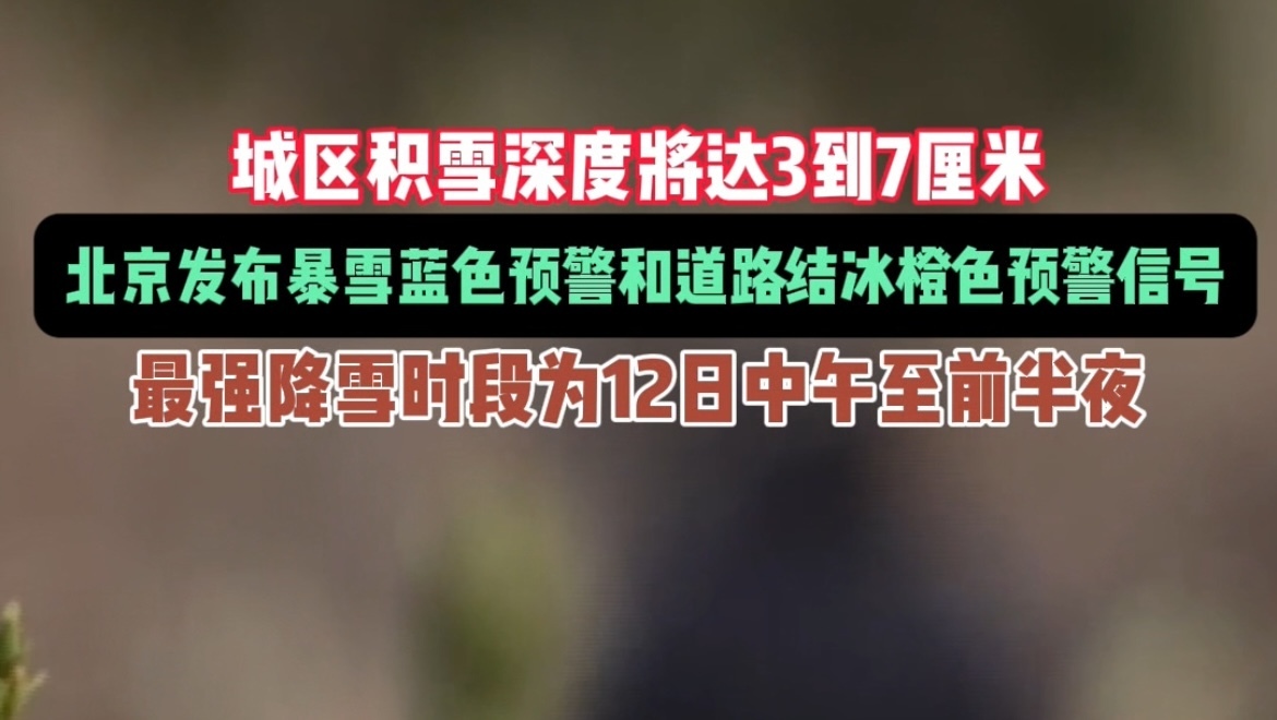 专家解读12日降雪过程 专家解读12日降雪过程