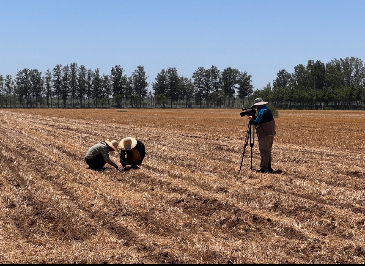 北京市发布2025年“田长制”任务清单 北京市发布2025年“田长制”任务清单