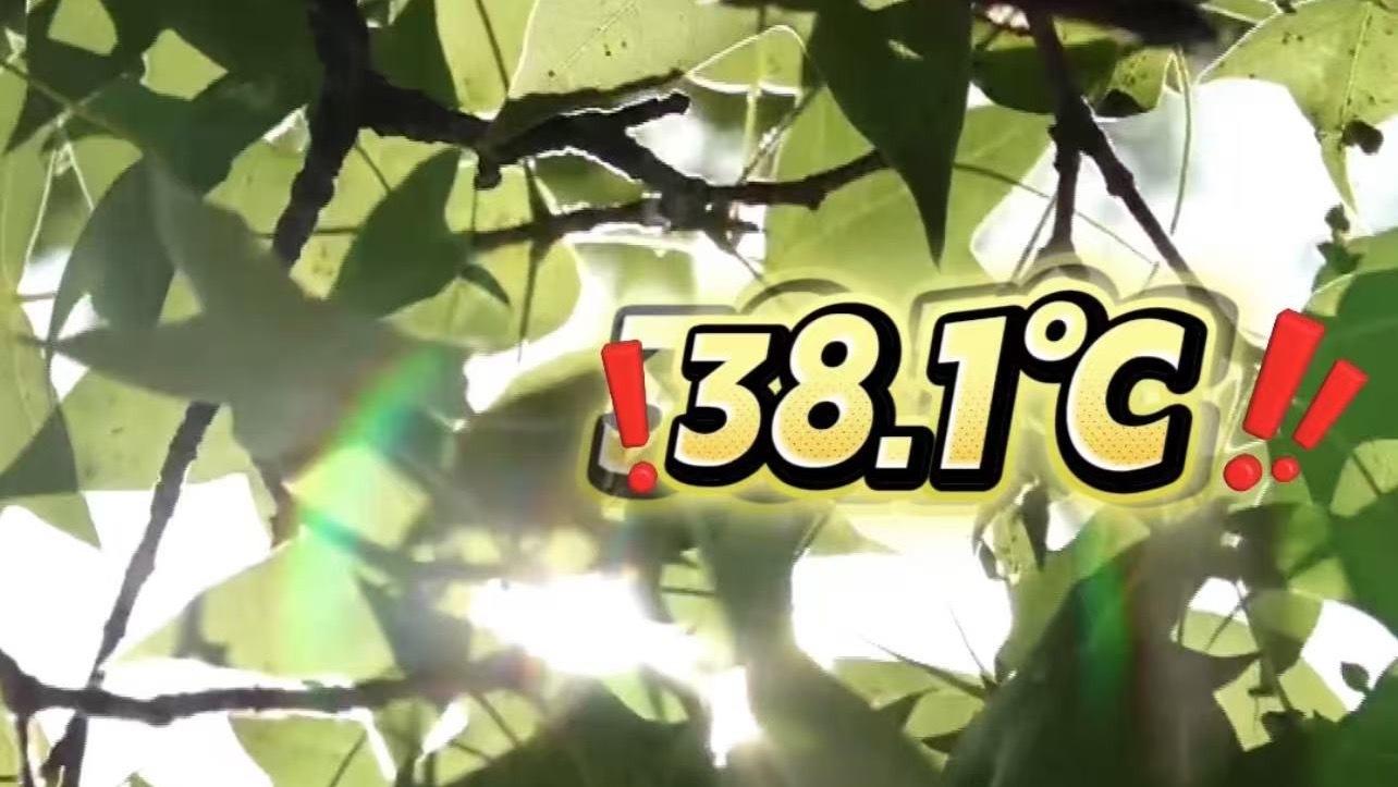 38.1℃！北京气温创今年新高