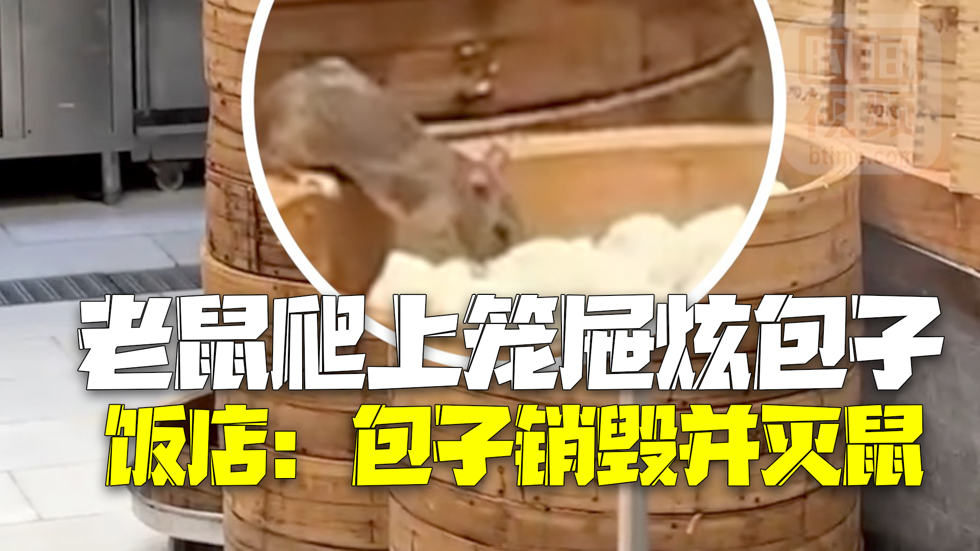 饭店回应老鼠爬上后厨笼屉炫包子：包子已销毁并灭鼠