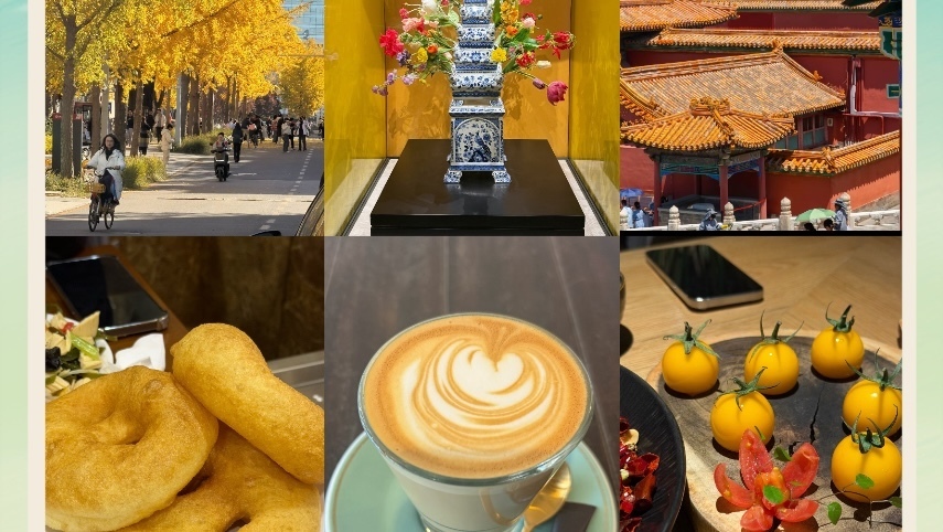 出街赏春新玩法，和朋友一起color walk吧